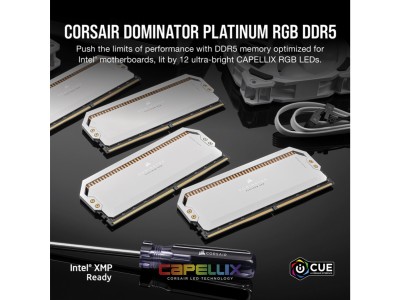 32 GB (2x16GB) DDR5-5600 Corsair Dominator Platinum RGB CL36 - Vit#2