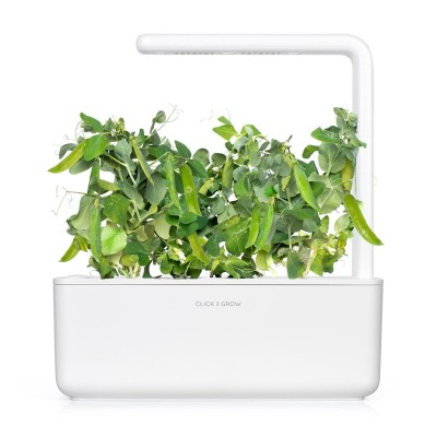 Click and Grow Smart Garden Refill, Dvärgärta, 3-pack#2