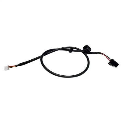 LUBA 2 - HEAD SIGNAL LINE