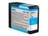 Epson Stylus Pro 3800 Cyan (T5802), 80 ml#2