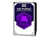 8 TB WD Purple, 5400 rpm, 256 MB cache, SATA3