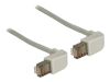 Delock - Patch-kabel - RJ-45 (hane) till RJ-45 (hane) - 2 m - SFTP - CAT 5e - 90° kontakt, formpressad - grå#1