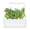 Click and Grow Smart Garden Refill, Dvärgärta, 3-pack#2
